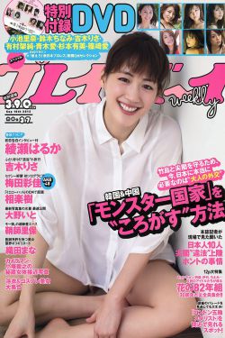 盲人摸象