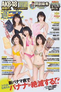 胜算电视剧免费完整版在线观看